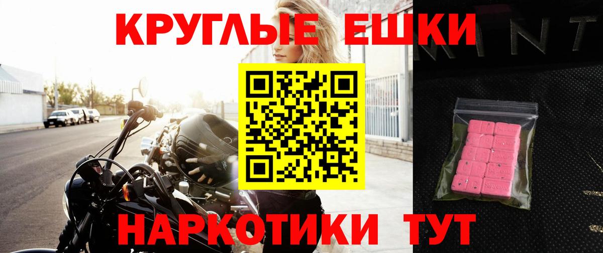 Искитим  Ecstasy Philipp Plein  Вход с VPN 