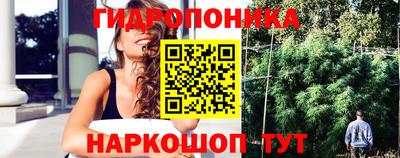 гашиш Гатчина