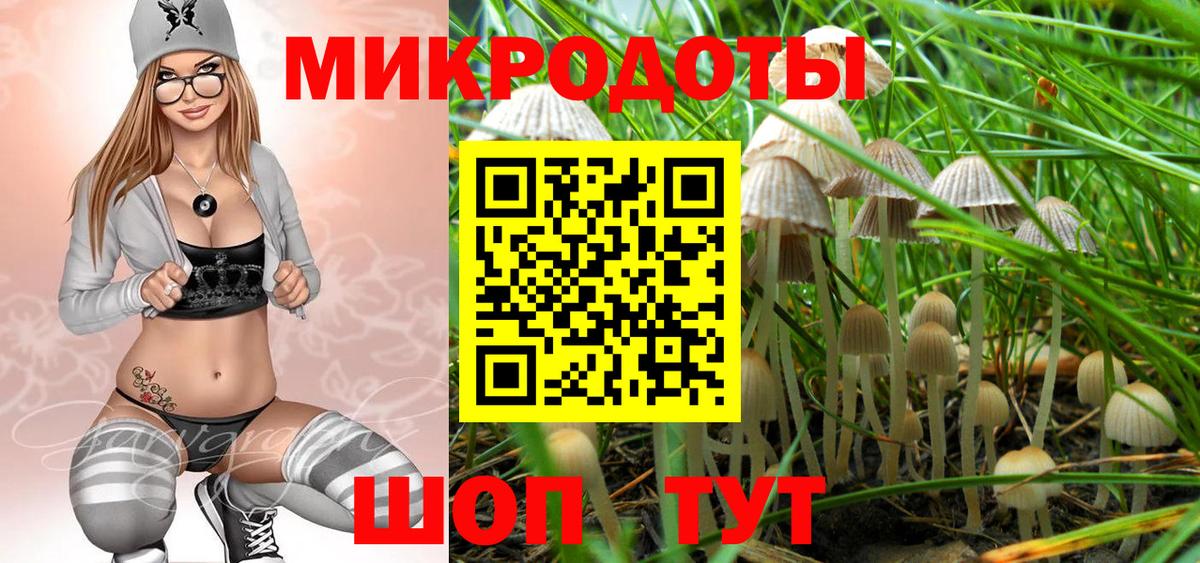Псилоцибиновые грибы Cubensis Искитим