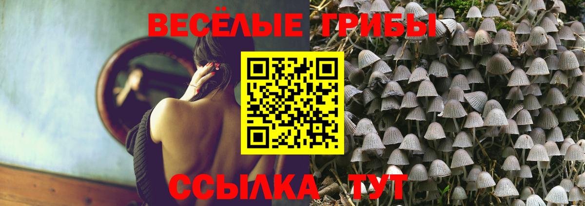 Галлюциногенные грибы ЛСД  Вход с VPN  Искитим 